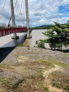 bridge over the river