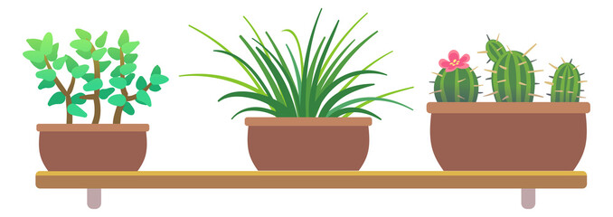 Fototapeta premium Indoor plants in pots. Cartoon home greenery shelves