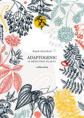 Botanical collage style design with hand-sketched adaptogenic and medicinal  herbs, weeds, berries, leaves. Adaptogenic plants vector card. Perfect for trendy label, packaging, banner, invitations
