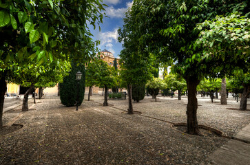 Patio de los orange trees in the Mosque of Cordoba, Andalucia, Spain