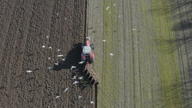 Overhead view: Red tractor with disc harrow turns soil in hard field