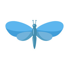 Blue butterfly moth on white background