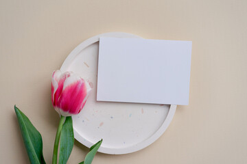 Pink tulip on terrazzo plate and card mockup on beige background. Business card mock up, name card, place card, branding concept 