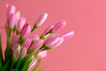 Artificial pink flowers on a pink background.