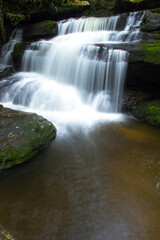 Obraz premium waterfall in the forest