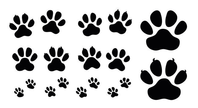 Paw icon set. Black paw print of dog and cat. Animal footprint, pet shop symbol vector