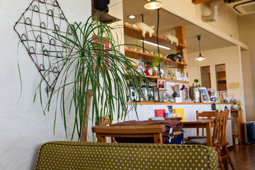 おしゃれなカフェの雰囲気の良い店内