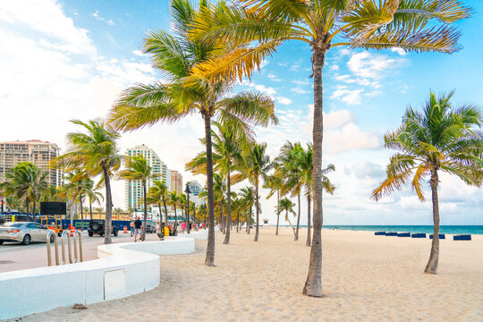 Seafront beach promenade with palm trees on a sunny day in Fort Lauderdale