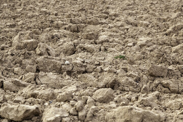 Dry land in a farm