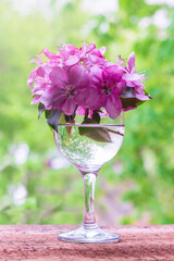 Pink apple tree flowers in a glass vase.Spring season