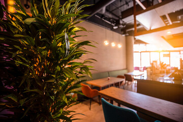 Interior of cozy green restaurant in the modern style. plants.