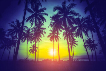 Naklejka na ściany i meble Silhouette coconut palm trees on beach at sunset.