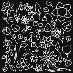 flowers icons. Doodle vector illustration with flowers on black background. Vintage floral pattern