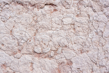 Pink Wall Texture Background. Abstract Painted Wall Surface. Copy Space For design