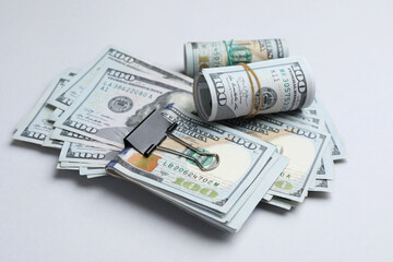Dollar banknotes on light grey background. American national currency