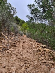 Caminos para la practica del senderismo 