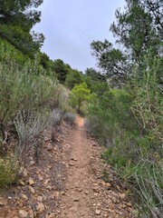 Caminos para la practica del senderismo 