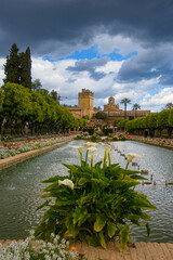 View of the beautiful gardens of the Alcazar de los Reyes Cristianos, Cordoba, Andalusia, Spain