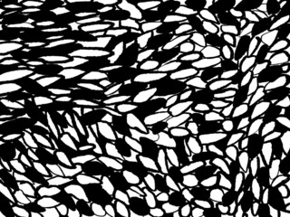 Fototapeta na wymiar Scribble mesh net ink texture background. Vintage black and white illustration mesh. Doodle abstract decorative pattern. Grunge ink drawing, modern paper art black texture mockup on white backdrop.