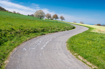 s-curve during cherry blossom in spring in Baselland