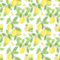 Lemons on a flowering tree, seamless pattern, floral ornament. Hand drawn botanical illustration. Image for textile, wallpaper, wrapping paper.