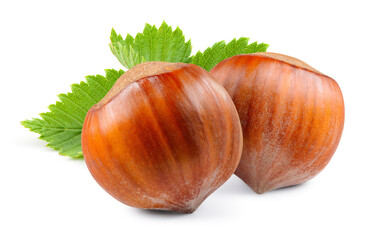 Hazelnut isolated. Hazelnut on white background. Two hazelnuts with leaves. Forest nut. Filbert...