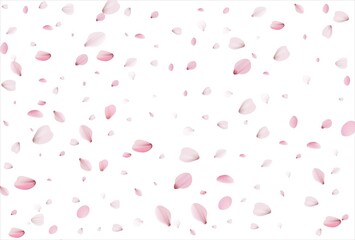 Sakura petals background. Cherry petals
