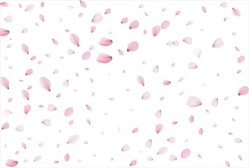 Sakura petals background. Cherry petals