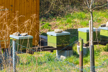 Bienenstöcke