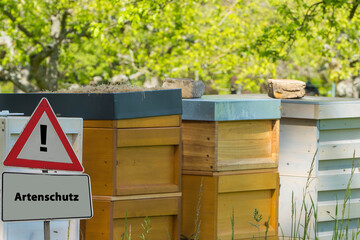 Artenschutz Bienenstöcke