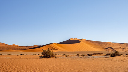 Fototapeta na wymiar Red sand dunes in Sossusvlei, Namib-Naukluft National Park, Namibia