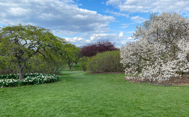 Spring Walk in the Arboretum