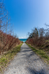 Fototapeta premium Path to Lake Ontario