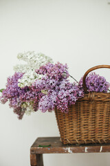 Beautiful lilac flowers in wicker basket on wooden chair. Spring rustic still life on rural...