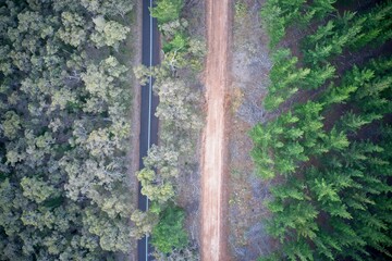 Drone field of view of pine forest and roads forming patterns in nature in Western Australia.