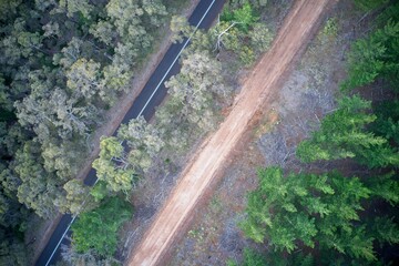 Drone field of view of pine forest and roads forming patterns in nature in Western Australia.