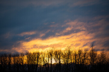 Winter sunrise with bare trees and moody clouds