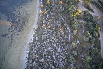 Aerial view of walkway through park forming patterns in nature, Western Australia.