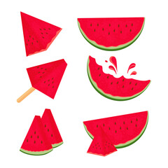 A slice of watermelon. A color vector set on a white background.