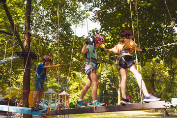 The concentrated kids are climbing in the high rope park