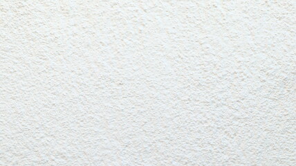 Fototapeta premium Whitewall paint texture background, grange page