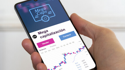 fondo de inversión negociado en bolsa mundial, Datos del mercado de valores en el teléfono. Análisis de negocios de una tendencia ETF. Blue chips Mega cap. Texto en español	
