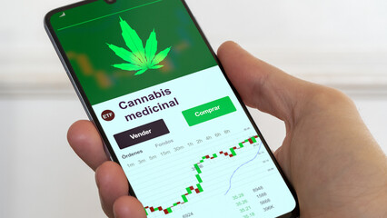 fondo de inversión negociado en bolsa mundial, Datos del mercado de valores en el teléfono. Análisis de negocios de una tendencia ETF cannabis. Blue chips. Texto en español	
