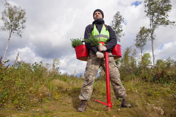 A man - a forest worker stands with spruce seedlings and a tool for planting trees.