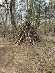 Natural BEAUTY
River, Deer, Geese, Ducks and Beaver