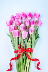 Bunch of beautiful pink white tulips with red ribbon on blue background, vertical, top view