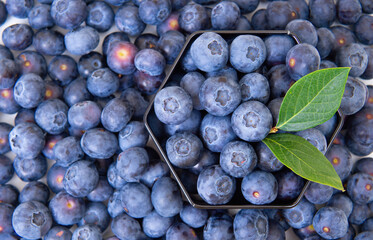 Freshly picked blueberries in a hexagonal box