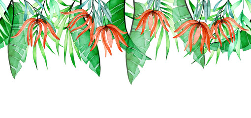 Fototapeta na wymiar watercolor seamless border with tropical transparent flowers and leaves. palm leaves, banana, protea flowers