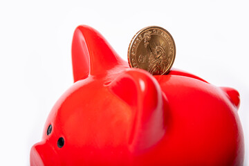 Coin 1 dollar in a hole in a red piggy bank on a white background. Savings concept. The stability...