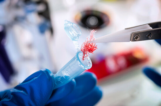 Police scientist examines bloodstained gauze from a drug overdose case, conceptual image